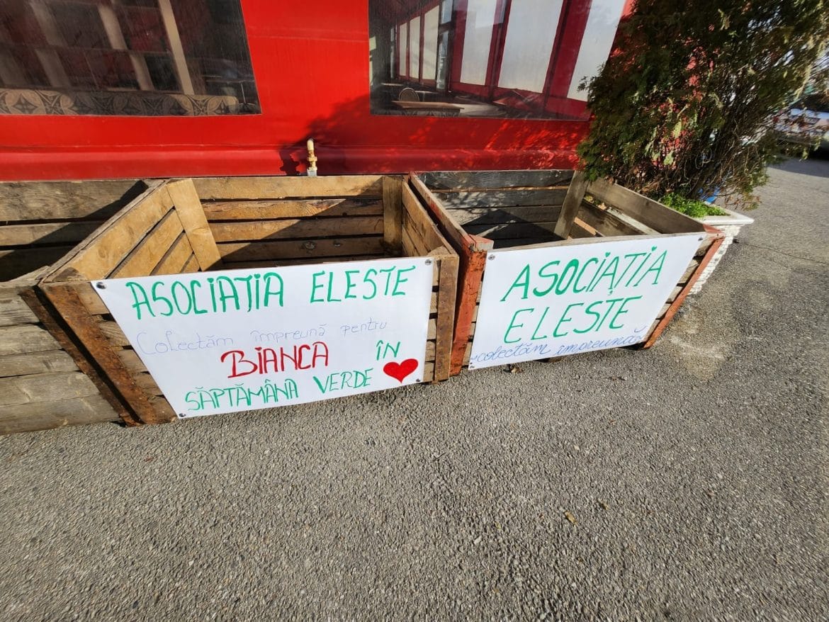 334025183_903804340941247_3731784284974497119_n